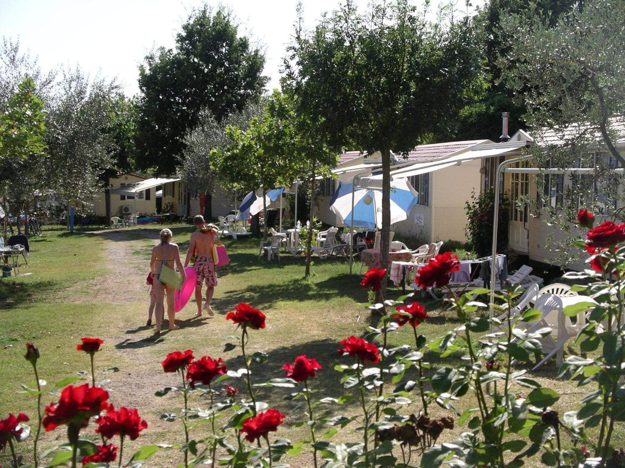 Blu International Camping Bolsena Exterior foto